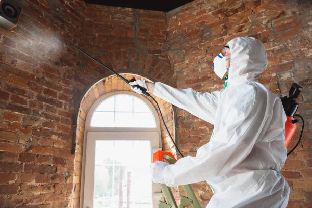 Best Mold Prevention Services  in Due West, SC